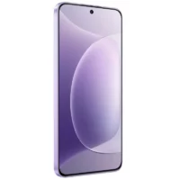Honor 300