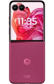 A picture of the Motorola Razr Plus (2024) smartphone